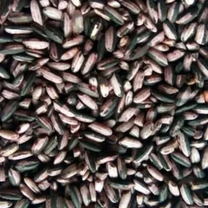 BERAS KETAN HITAM SOSOH