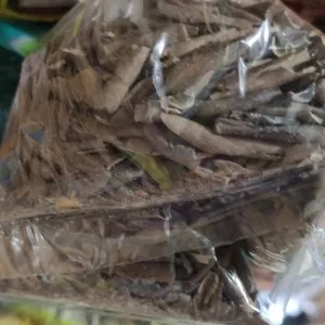 TANAH AMPO/ TANAH LIAT