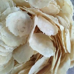 EMPING MELINJO BESAR