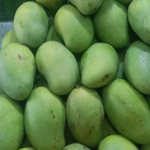 Mangga GADUNG Kemampoh 1kg
