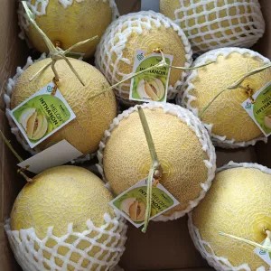 melon inthanon 2kg