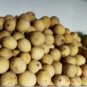 Duku Palembang Manis 1Kg