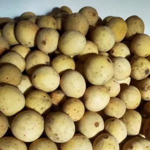 Duku Palembang Manis 250g