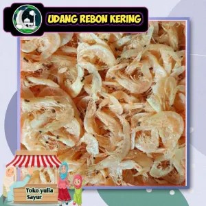 Udang Rebon Kering