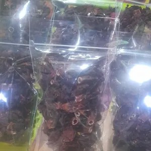 bunga rosella merah kering