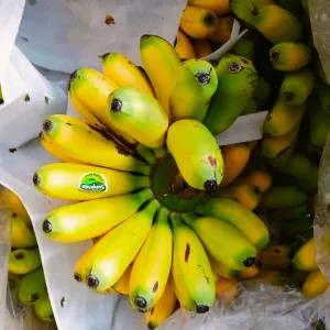 Pisang mas sunpride 1kg