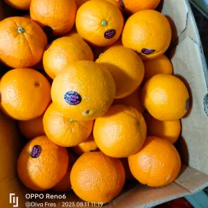 Sunkist cara cara manis non biji