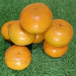 Jeruk Medan Super 1 Kg 1kg