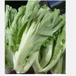 sawi pahit/sawi asin/kucai 1 kg