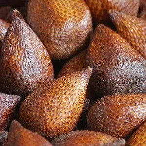 Salak Pondoh Sleman Jumbo per kg