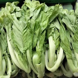 Sawi asin / sawi pahit