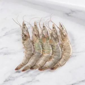 ( DJongko Sayur ) Udang Peci Tanpa Kepala Fresh Segar