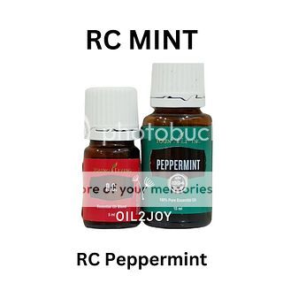 RC + Peppermint Blend YL YLEO Essential Oil 5ml 15ml