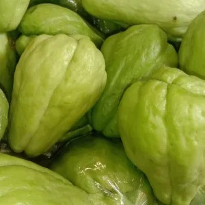 Labu air /Siam organik