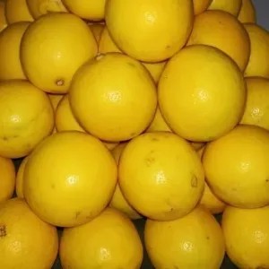 jeruk lemon lokal 1kg