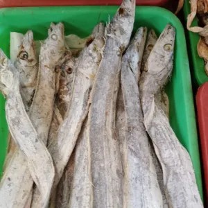 Ikan asin layur