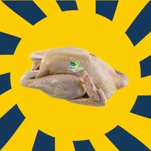 Ayam Kampung Hidup Baru Dipotong