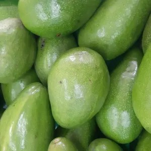 Alpukat 1kg