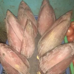 Jantung pisang kepok