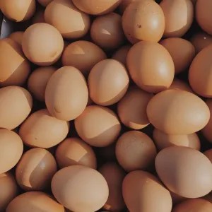 Telur ayam negri 1kg