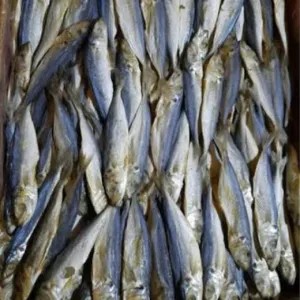 ikan Asin peda kecil/cingeng