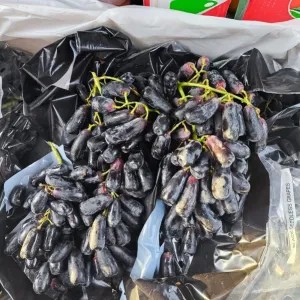Anggur Jari Hitam (tanpa biji) 400g