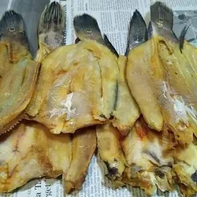 ikan gabus kering