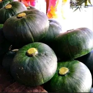 LABU KABOCHA HIJAU 1 Pcs