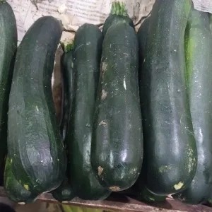 Timun Cukini Zucchini 500 gram