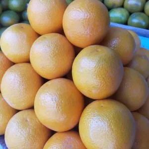 Jeruk Sunkist 1kg