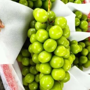 anggur hijau muscat 1 kg