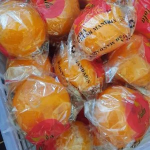 Jeruk Ponkam Mandarin