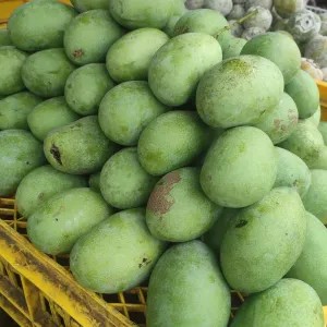 Mangga Manalagi Muda