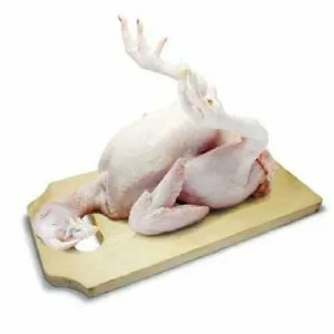 ayam 1 ekor