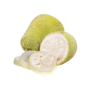 nangka muda/gori 500g