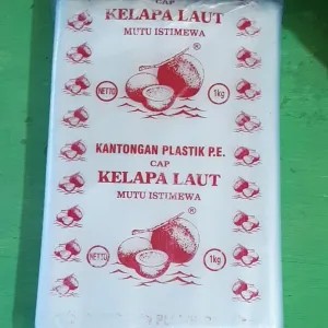 Plastik PE uk. 18x25 @ 1 kg 1kg