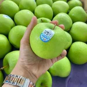 Apel Granny Smith (apel hijau USA)