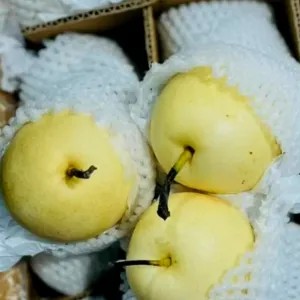 Buah pear century