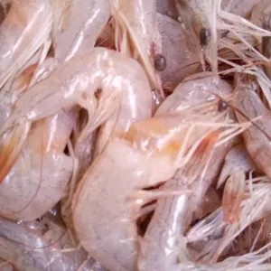 Udang peci kecil 250g