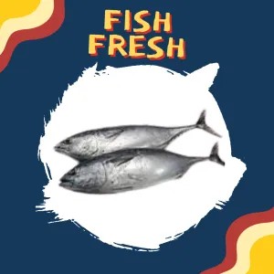 Ikan Tongkol 1Kg