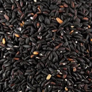 beras ketan hitam 1kg