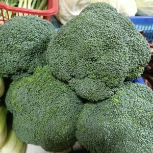 BROKOLI IMPORT BANDUNG