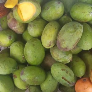 Mangga Kweni 1kg