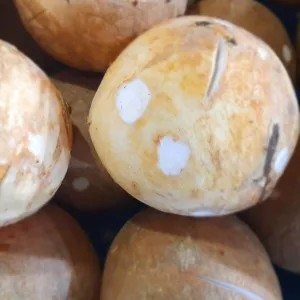 Kelapa Muda Parut 1 Besar