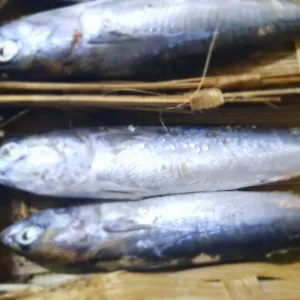 Ikan Cue keranjang