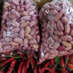 KACANG MERAH SEGAR