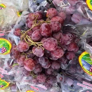 Anggur Chili