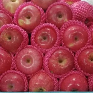Apel fuji 1 kg 1kg