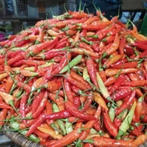 Cabai Rawit 1/4  Kg / Cabe