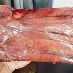 Frozen telor ikan tuna/Frozen seafood/Frozen Food 1kg